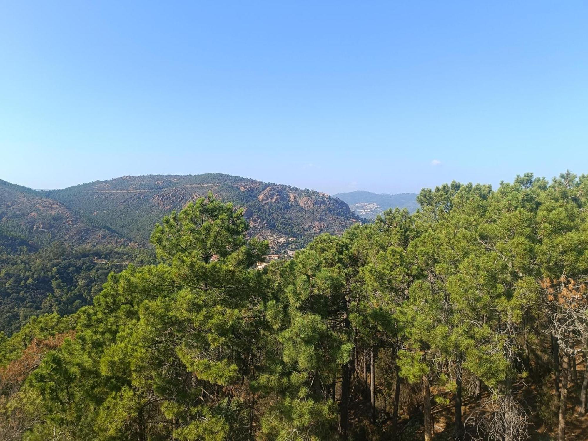 Magnifique Vue Mer Et Piscine - Les Cles De L Esterel Théoule-sur-Mer Dış mekan fotoğraf
